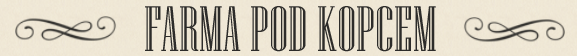 Primary Raster logo